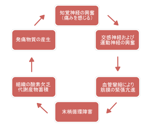 痛みのサイクル