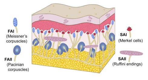 ブログイメージ
